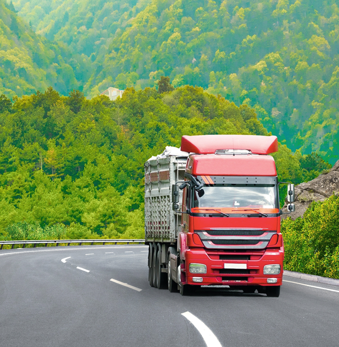 Red Semi-Truck Driving Through a Scenic Mountain Landscape Red semi-truck transporting cargo on a winding mountain road surrounded by lush green forests.
